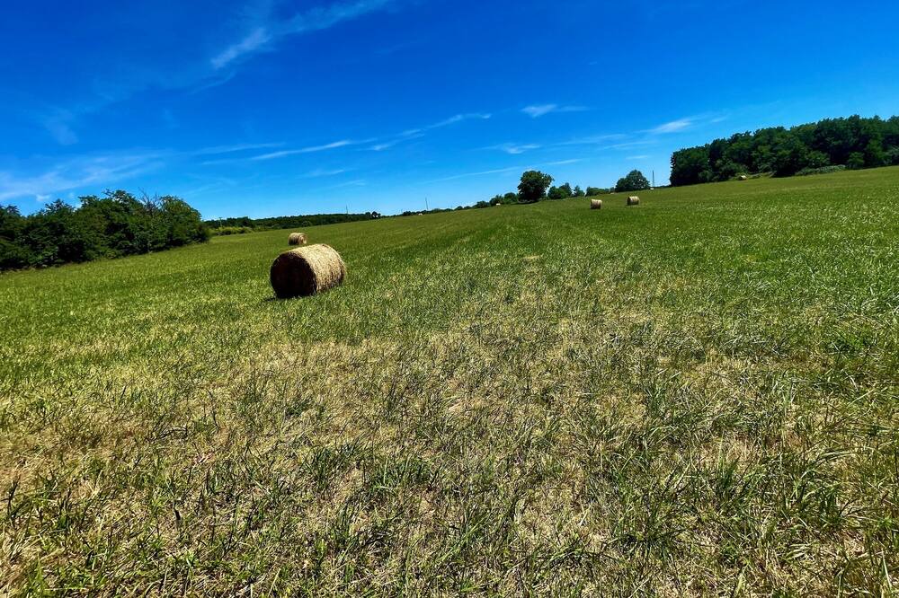Photo of Others in Sainte-Gemme