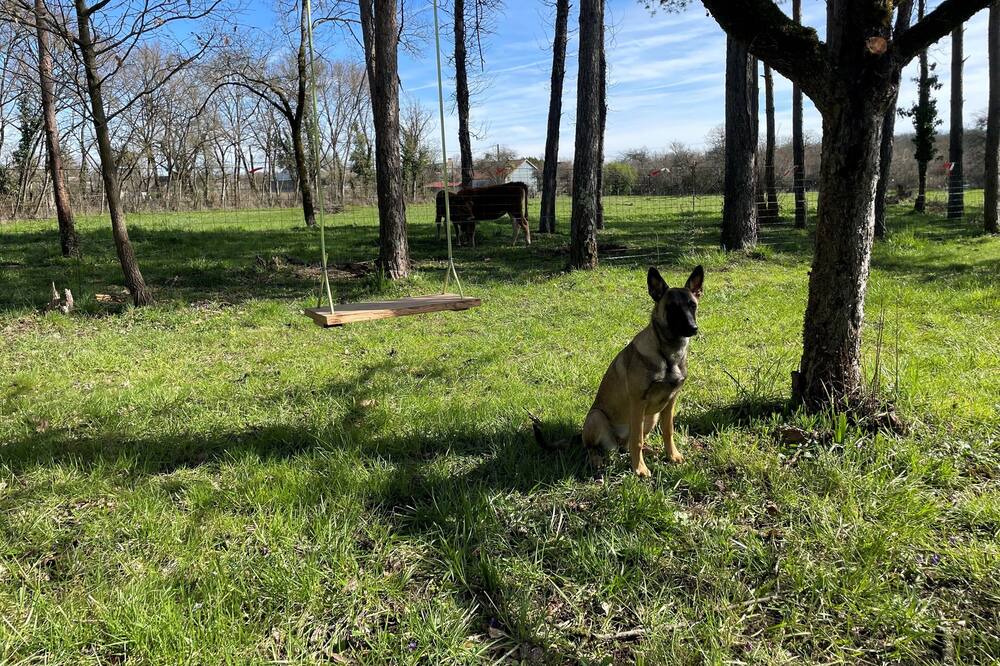 Photo of Others in Sainte-Gemme
