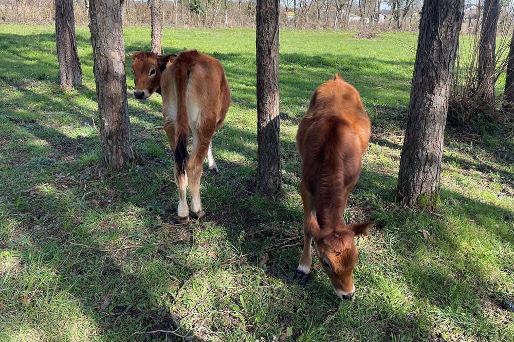 Photo of Others in Sainte-Gemme