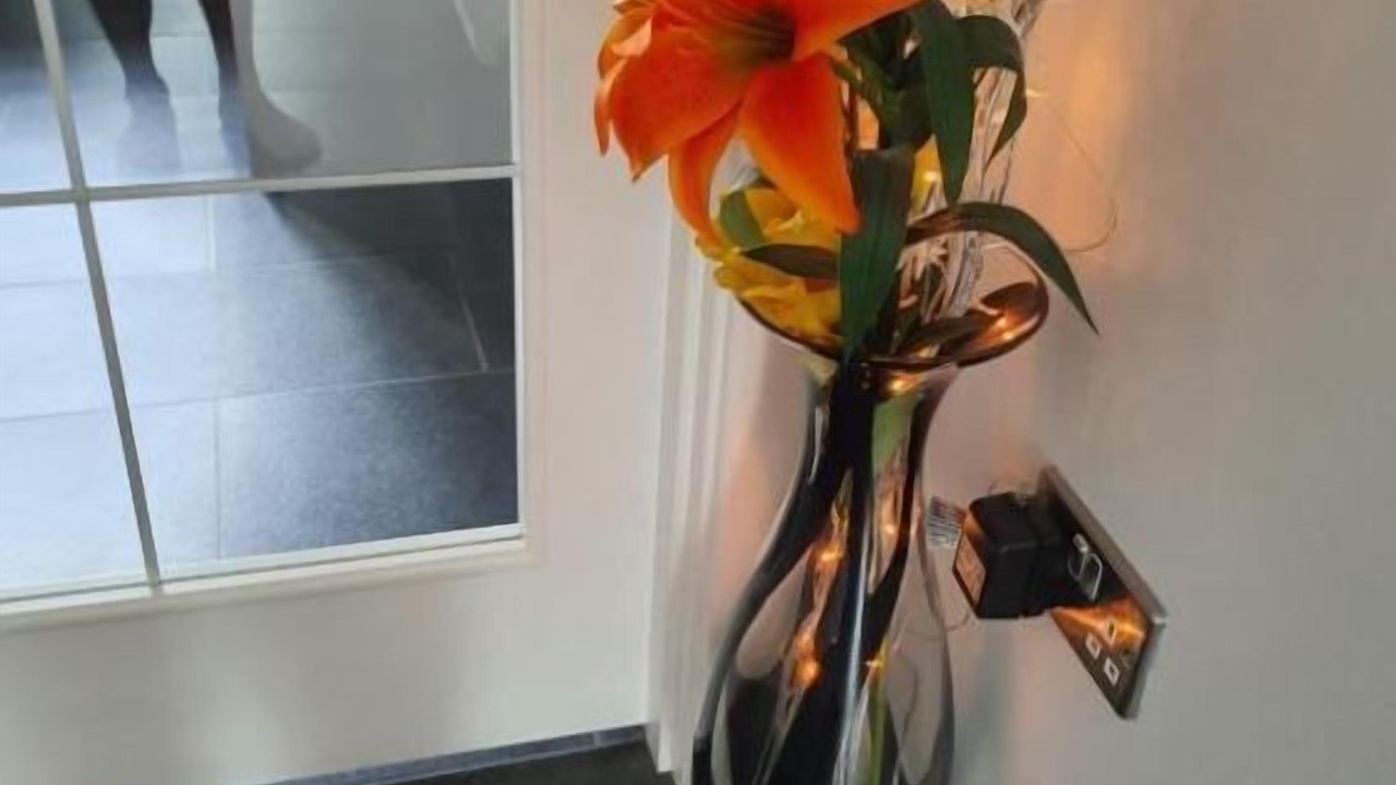 Photo of Others in Elgin