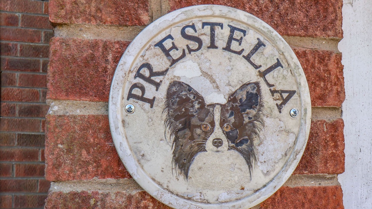 Photo of Outdoor in Muston