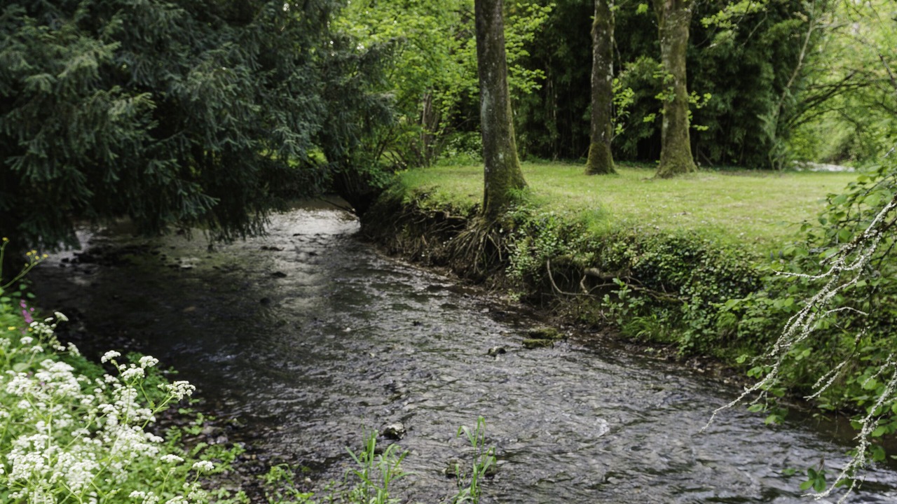 Photo of Outdoor in Chasseneuil-sur-Bonnieure