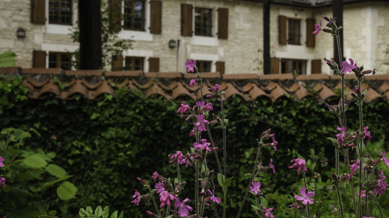 Photo of Outdoor in Chasseneuil-sur-Bonnieure