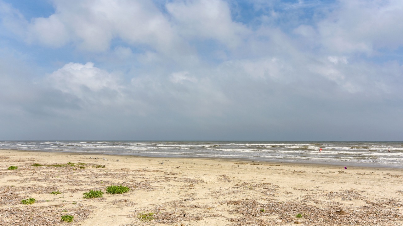 Photo of Others in Galveston