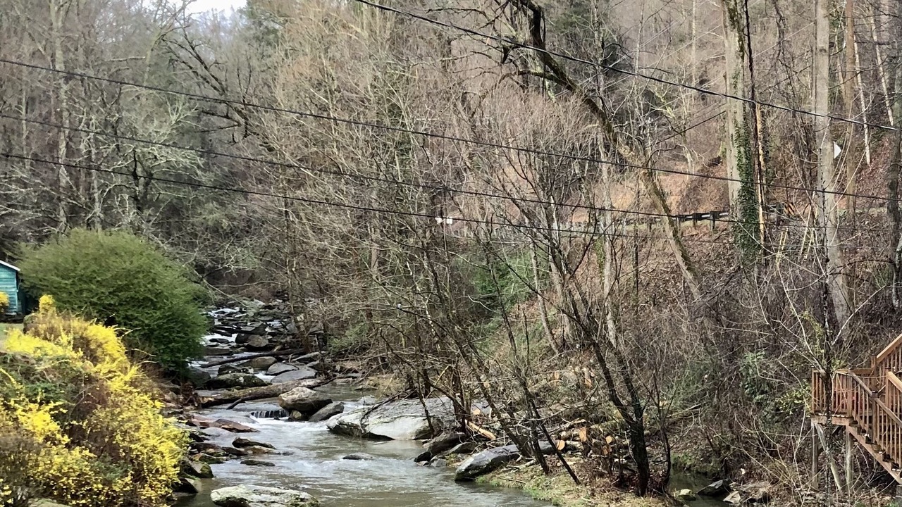 Photo of Outdoor in Bat Cave