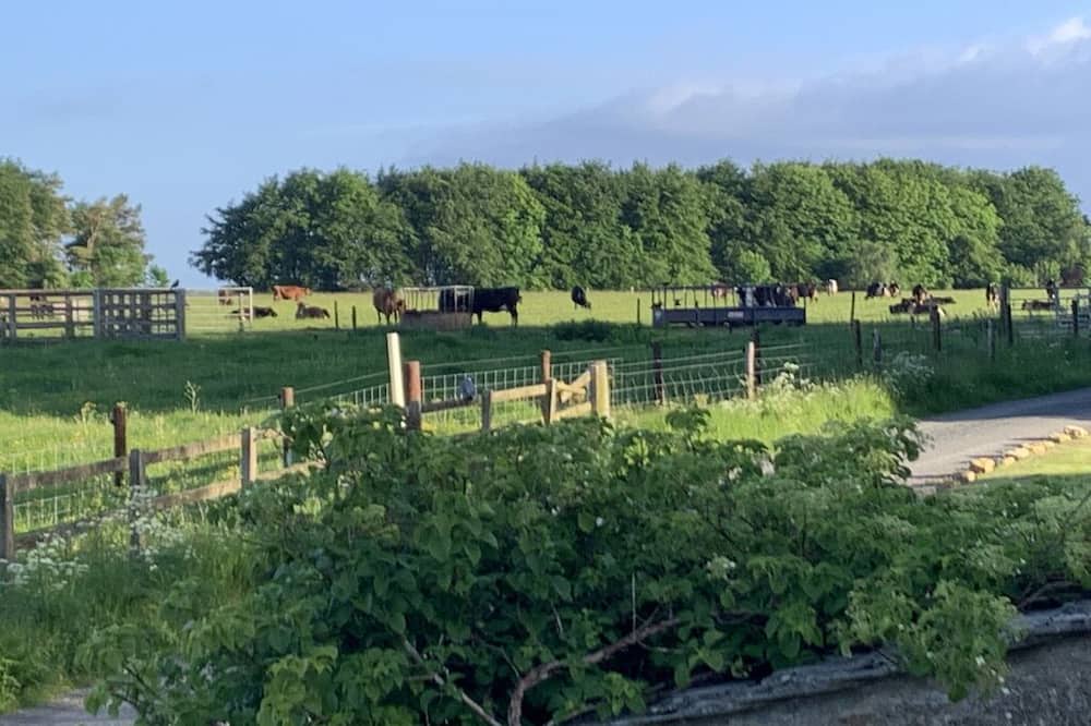 Photo of Outdoor in Rendcomb