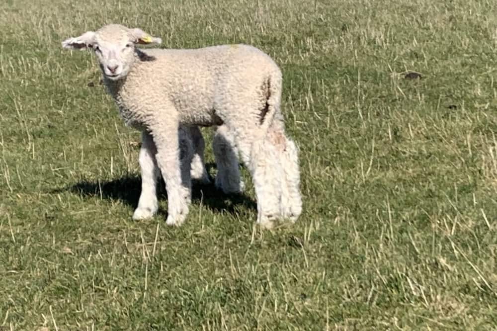 Photo of Outdoor in Rendcomb