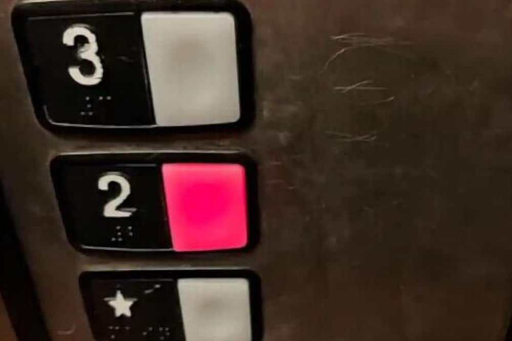 Photo of Others in National Gardens