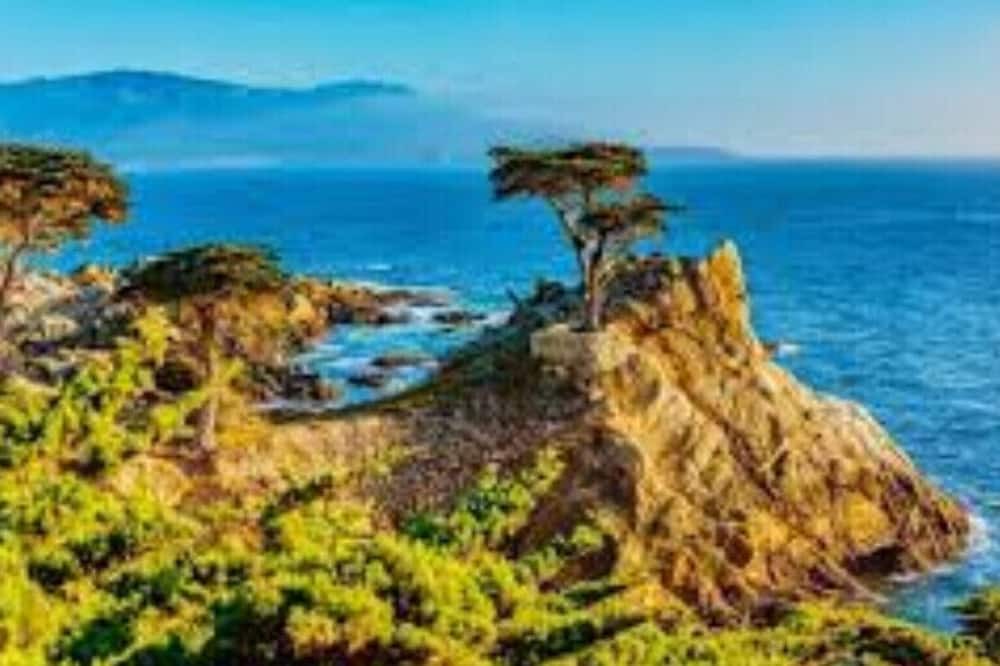 Photo of Others in North Fremont Street