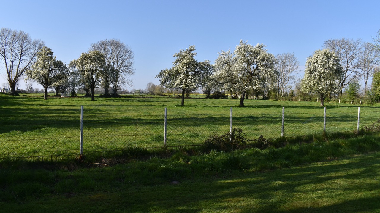 Photo of Others in Fiquefleur-Equainville