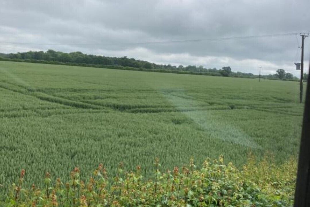 Photo of Outdoor in Hethel