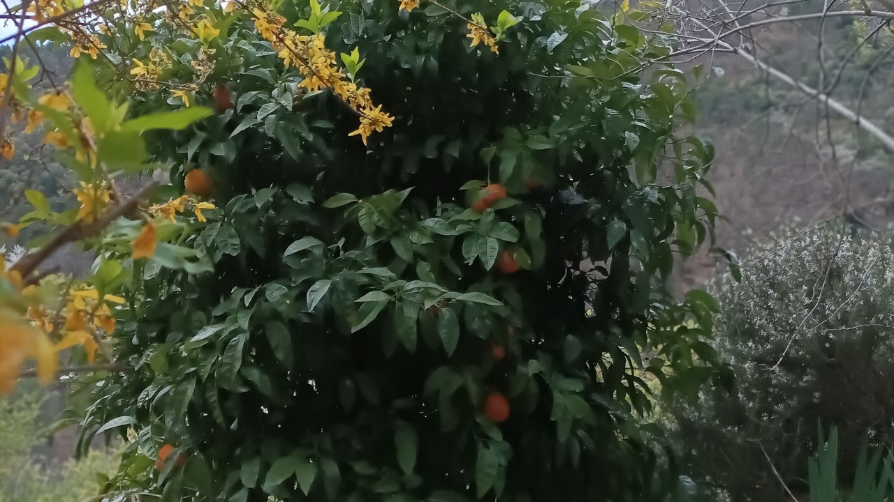 Photo of Outdoor in Malbosc