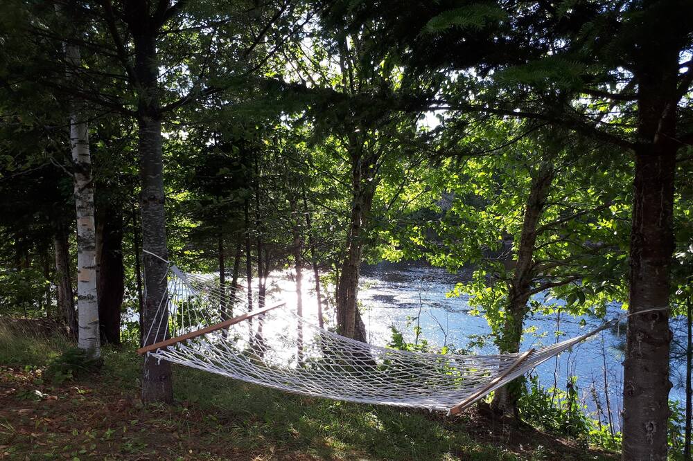 Photo of Outdoor in Shannon
