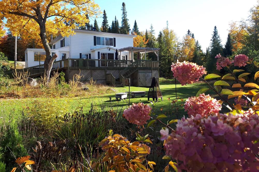 Photo of Outdoor in Shannon