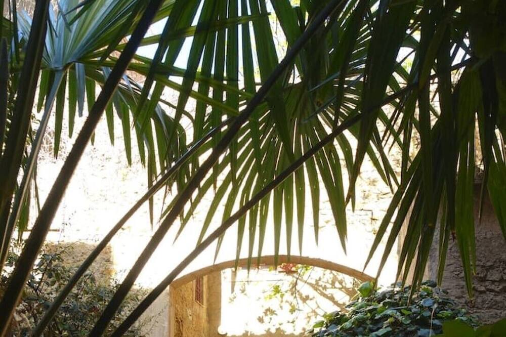 Photo of Outdoor in Ornaisons