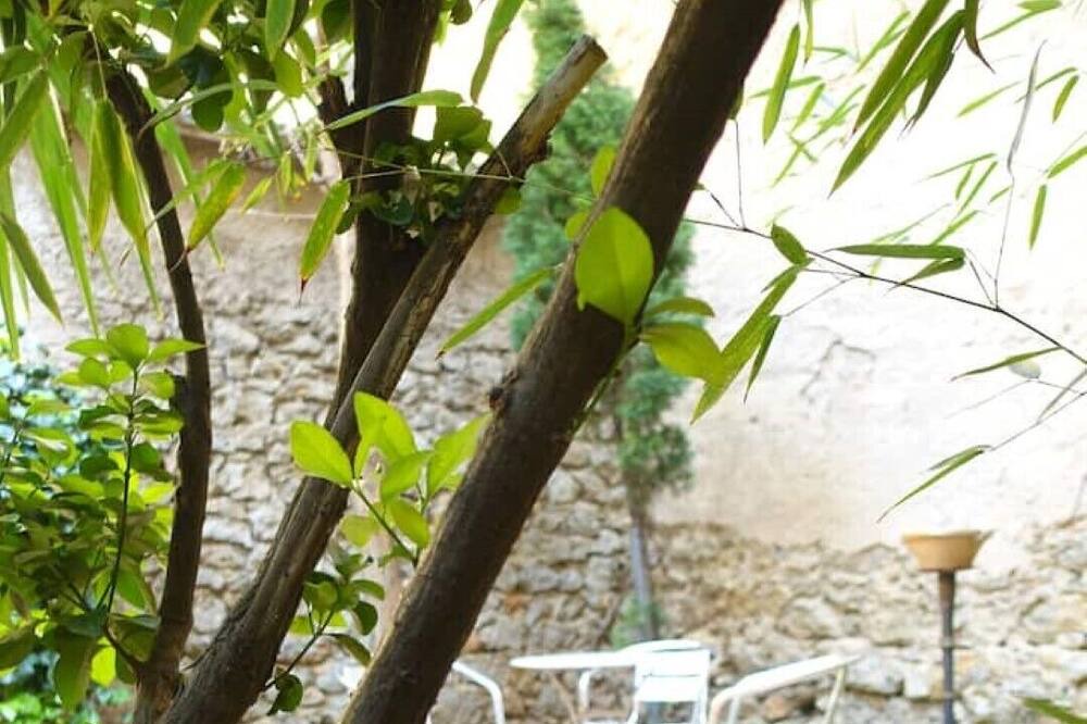 Photo of Outdoor in Ornaisons