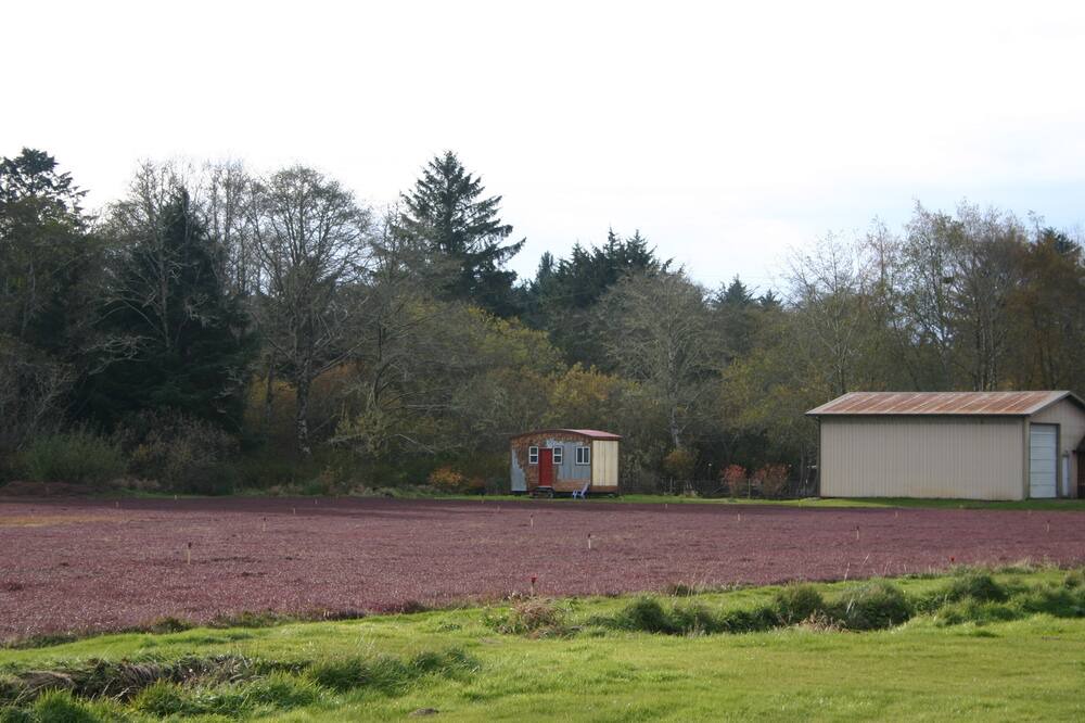 Photo of Outdoor in Grayland