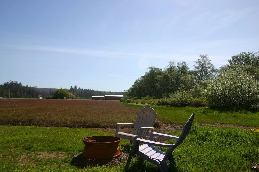 Photo of Outdoor in Grayland