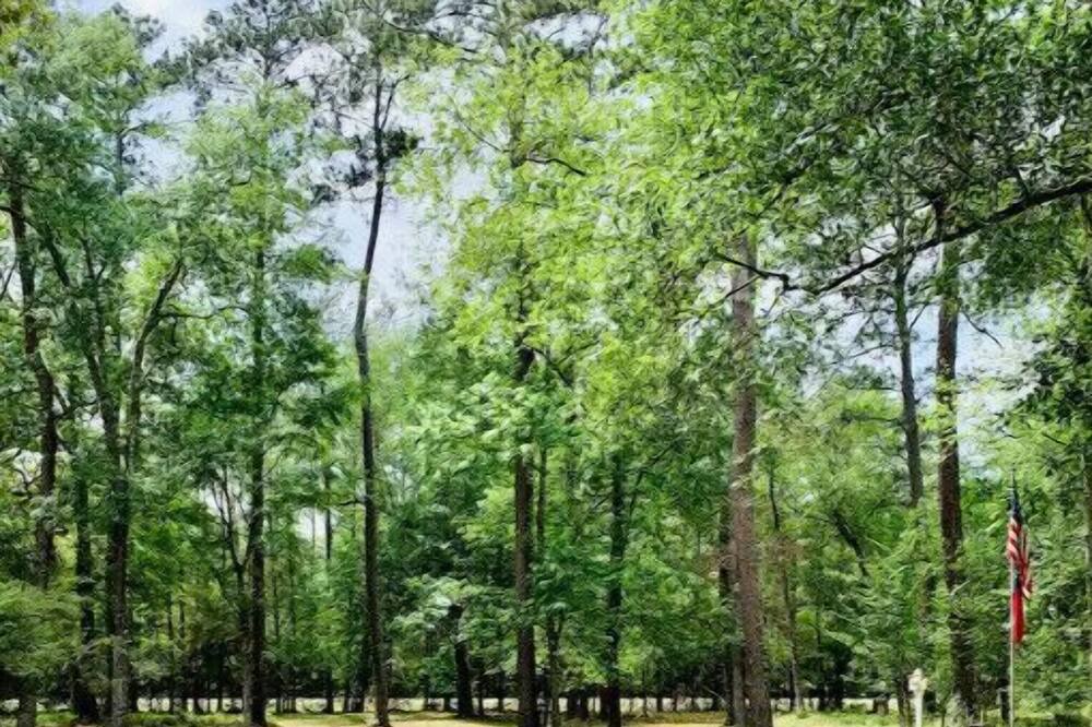 Photo of Outdoor in Magnolia