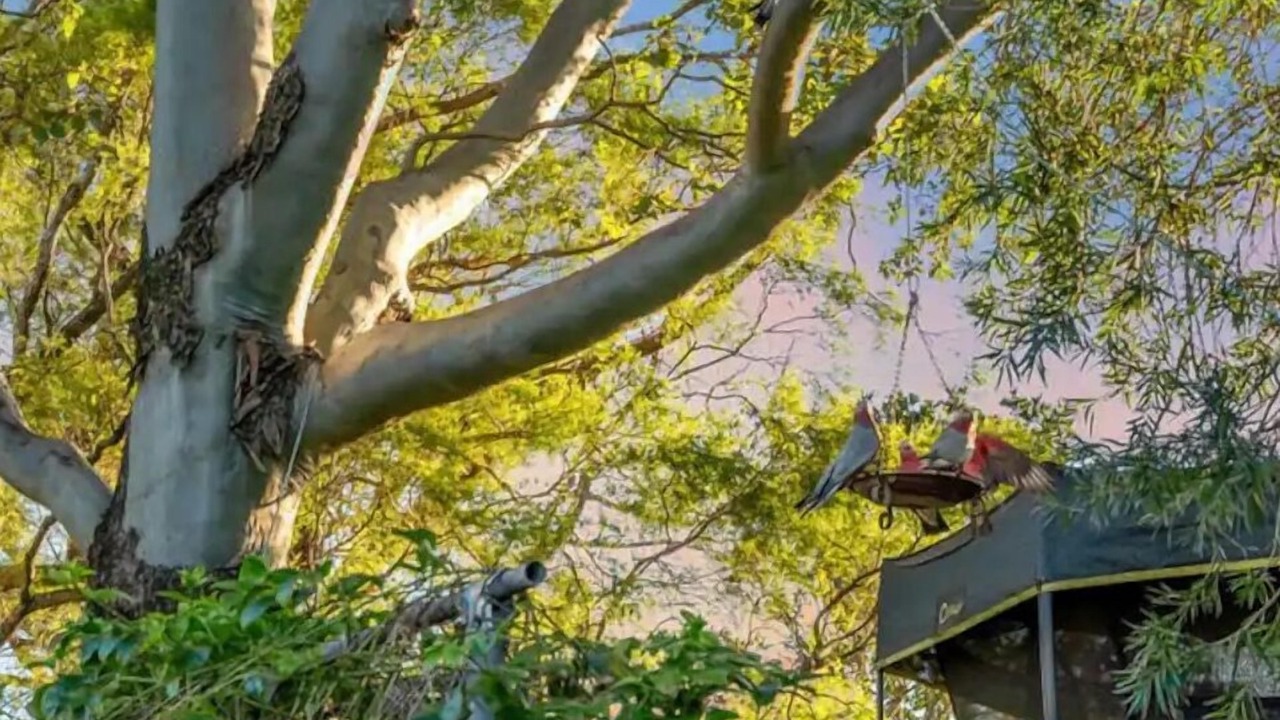 Photo of Outdoor in Norwell