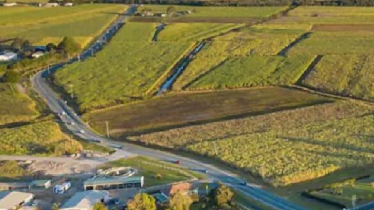 Photo of Others in Norwell