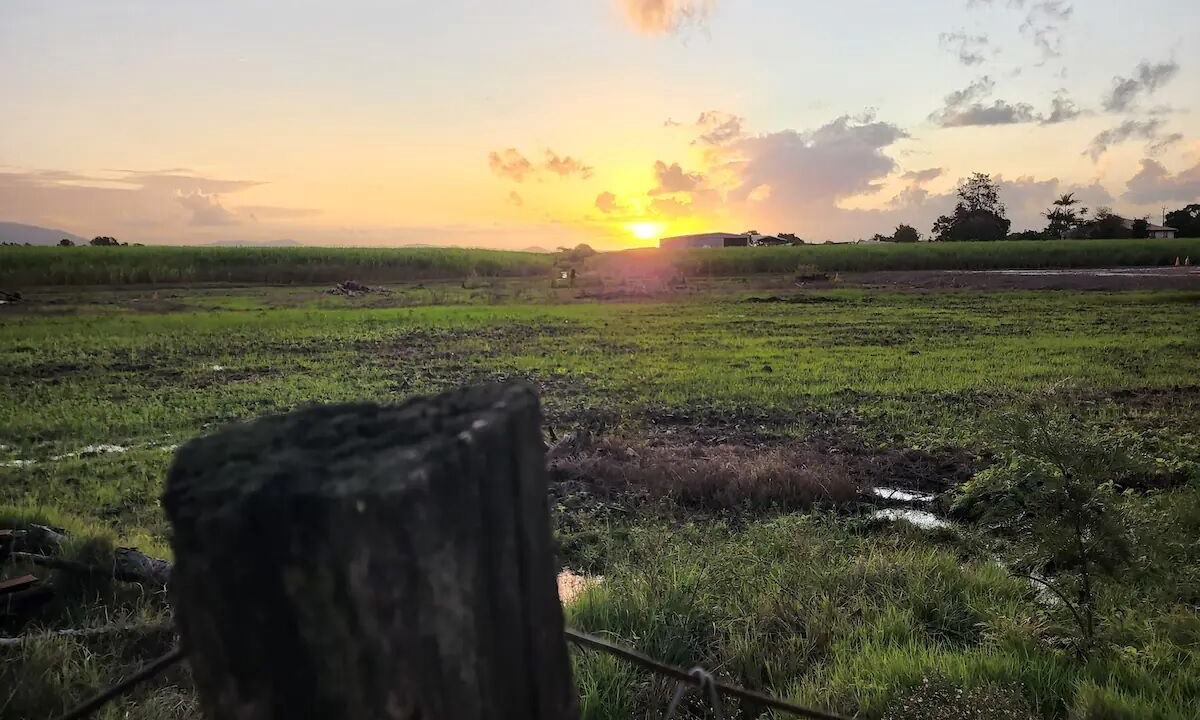 Photo of Others in Norwell