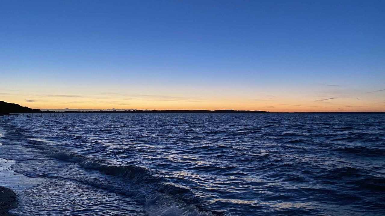 Photo of Others in Vedelshave