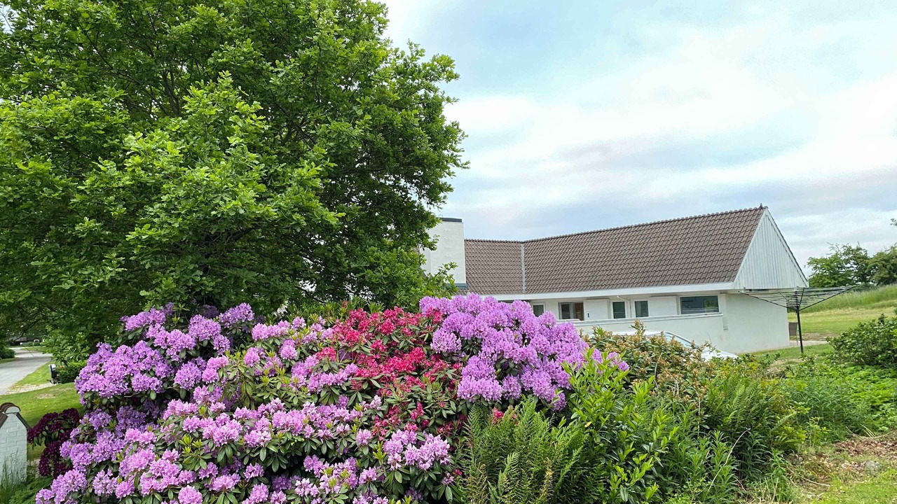 Photo of Others in Vedelshave