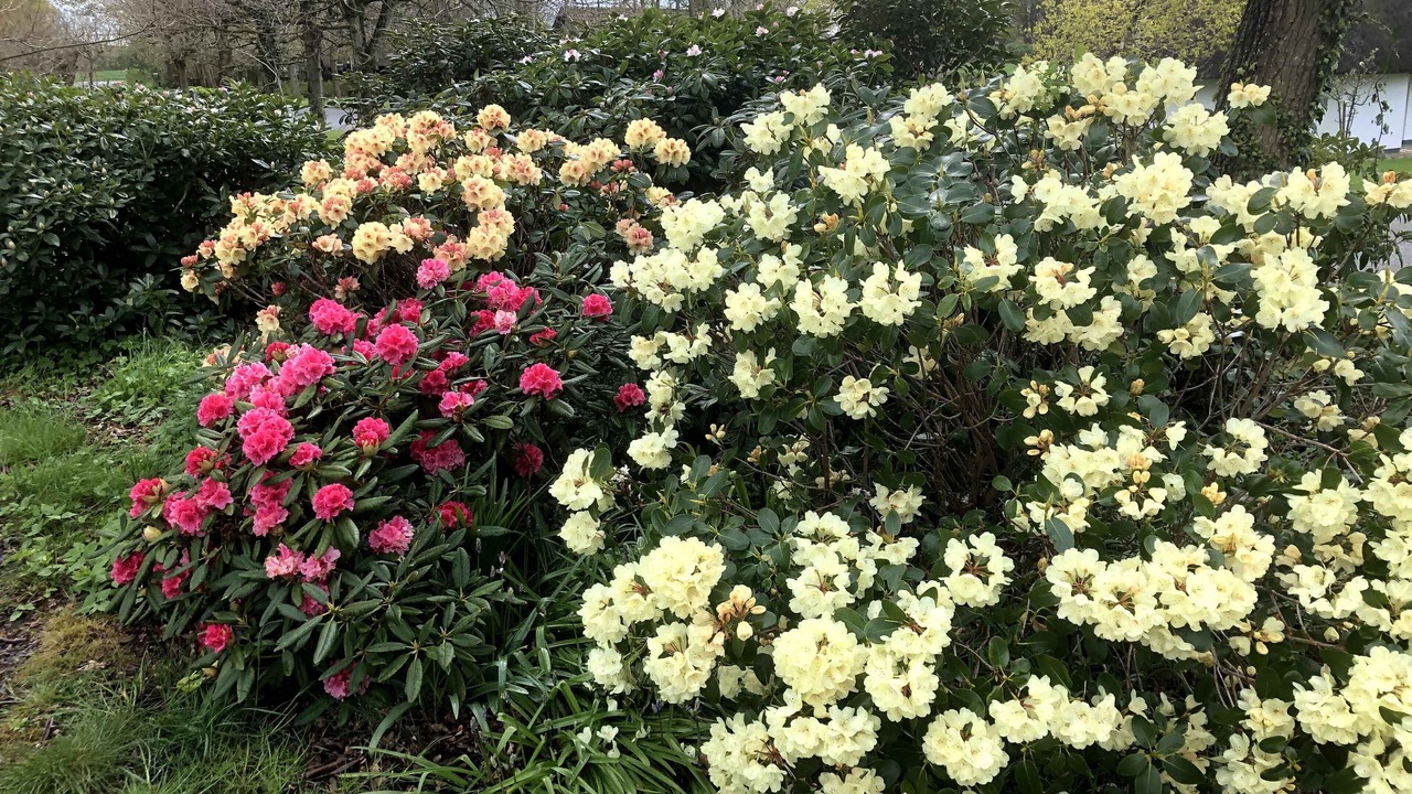 Photo of Outdoor in Vedelshave