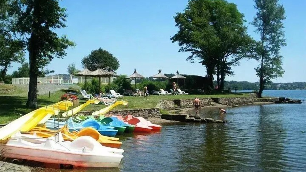 Photo of Others in Alrance