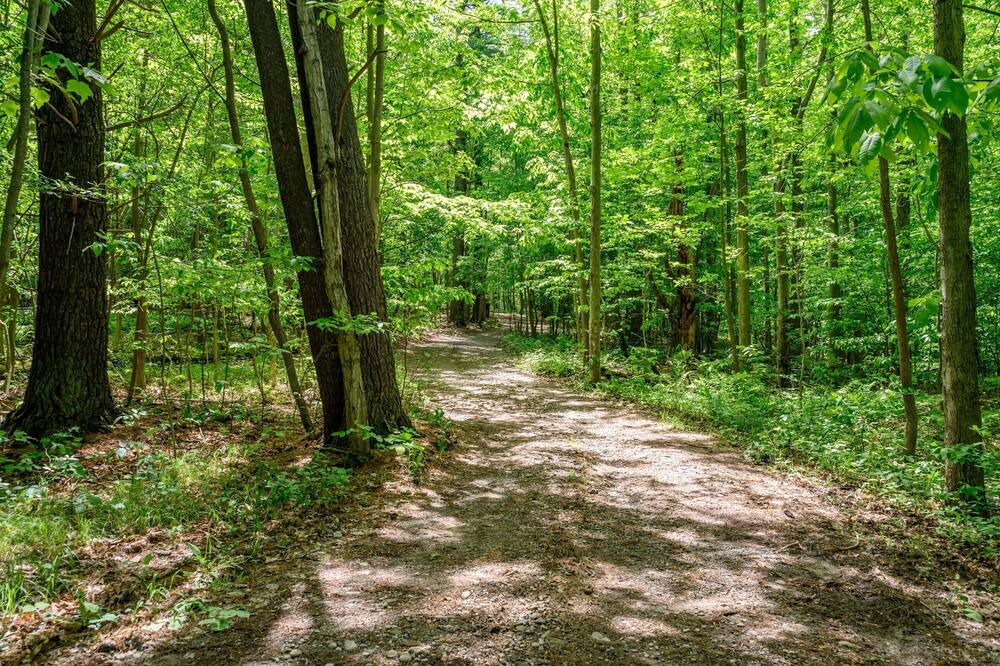 Photo of Others in Dansville