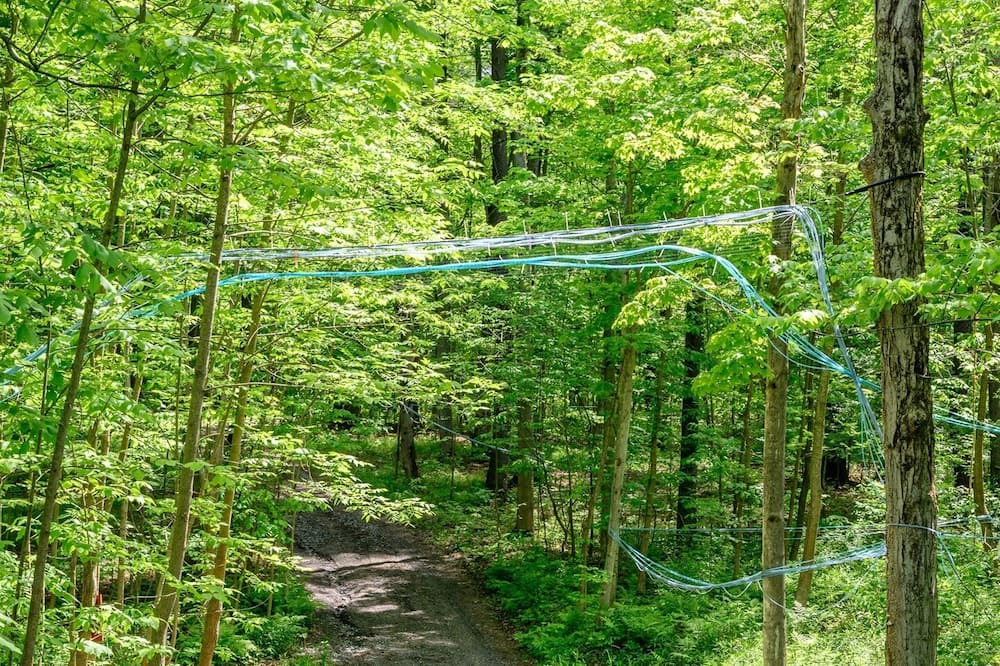 Photo of Others in Dansville