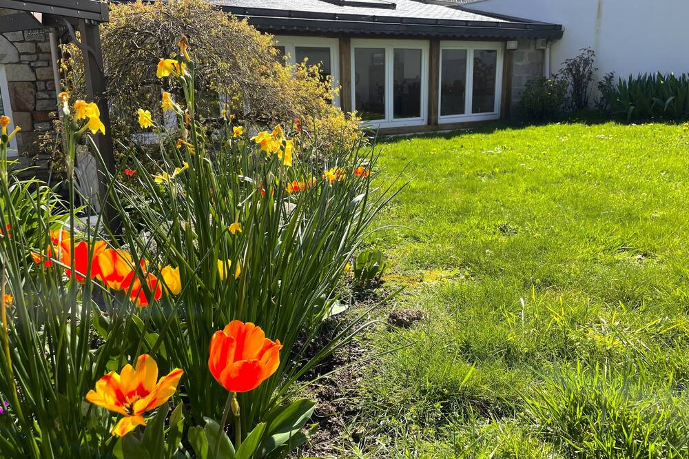 Photo of Outdoor in Queven