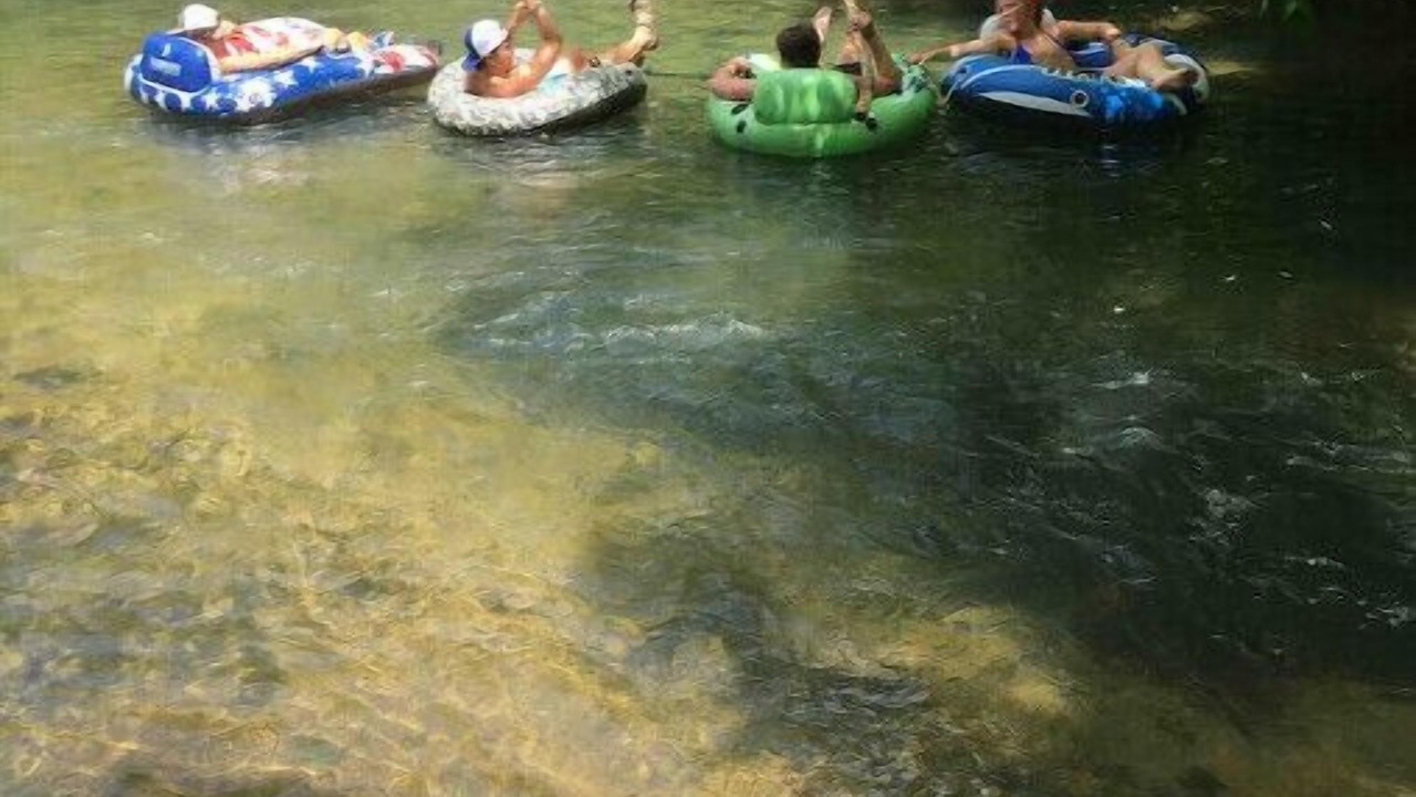 Photo of Others in Gainesboro
