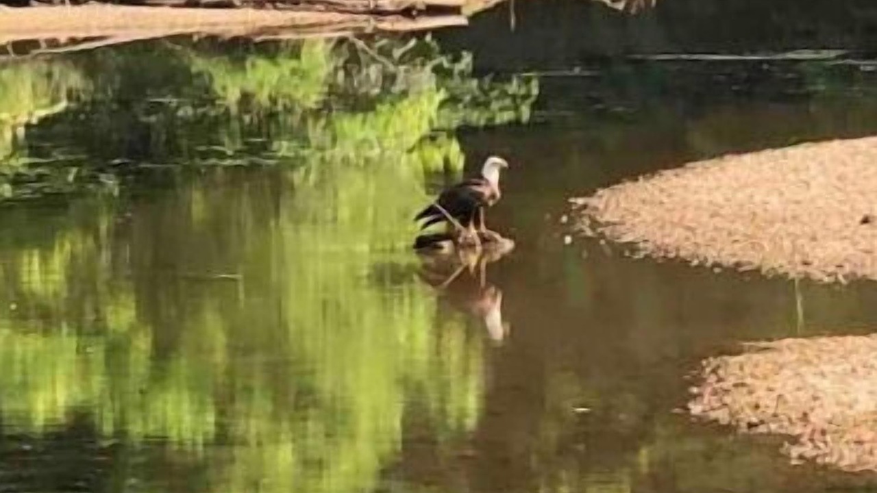 Photo of Others in Gainesboro
