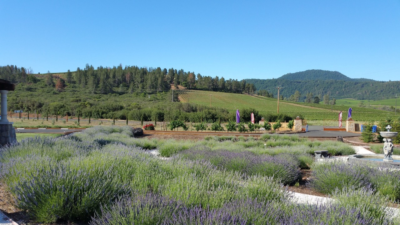 Photo of Outdoor in Clear Lake