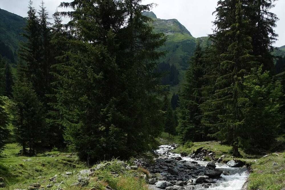 Photo of Others in Glarus Sued