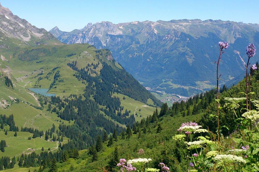 Photo of Others in Glarus Sued