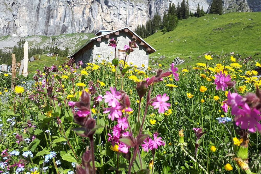Photo of Outdoor in Glarus Sued