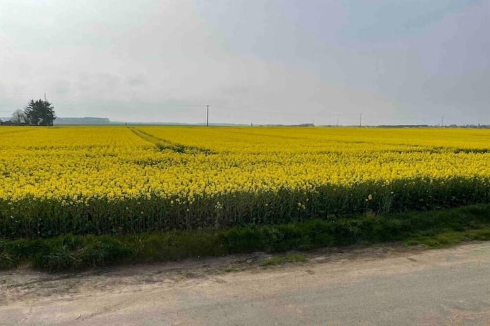 Photo of Others in Epieds-en-Beauce