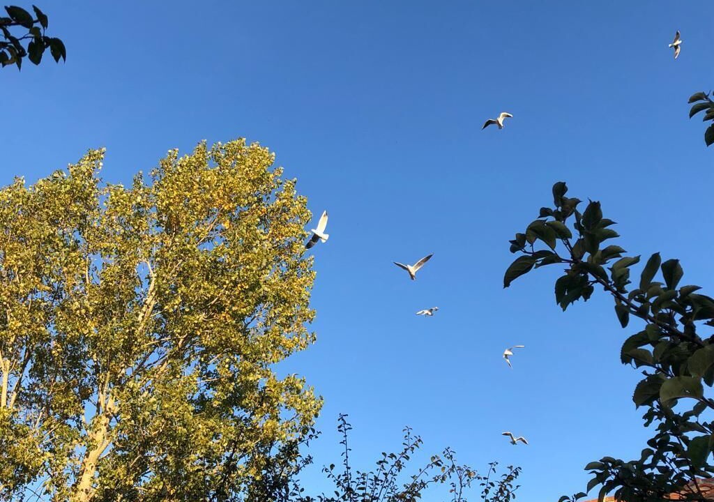 Photo of Others in Bourgneuf-en-Retz