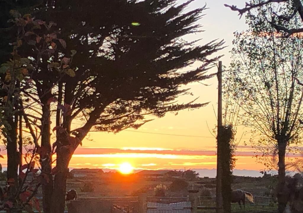 Photo of Others in Bourgneuf-en-Retz