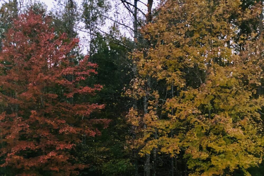Photo of Outdoor in Tate