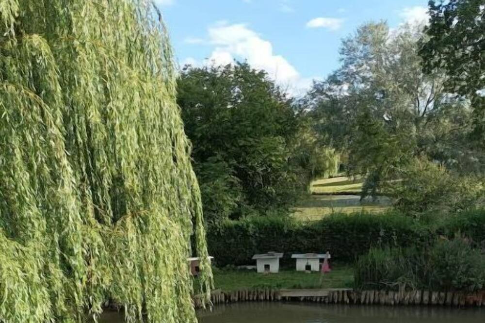 Photo of Outdoor in Louverne