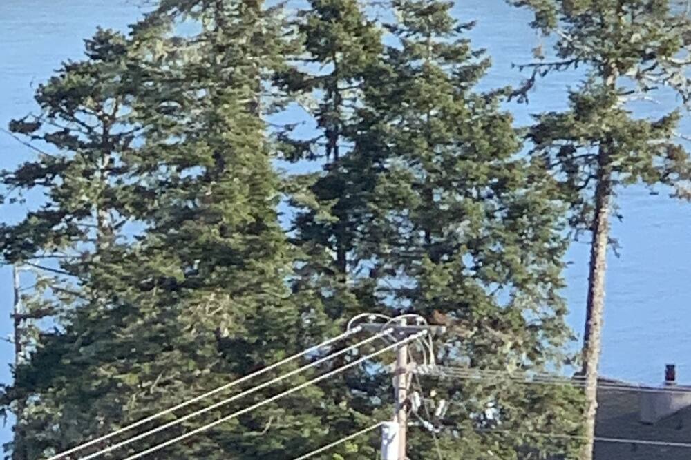 Photo of Outdoor in Gold Beach