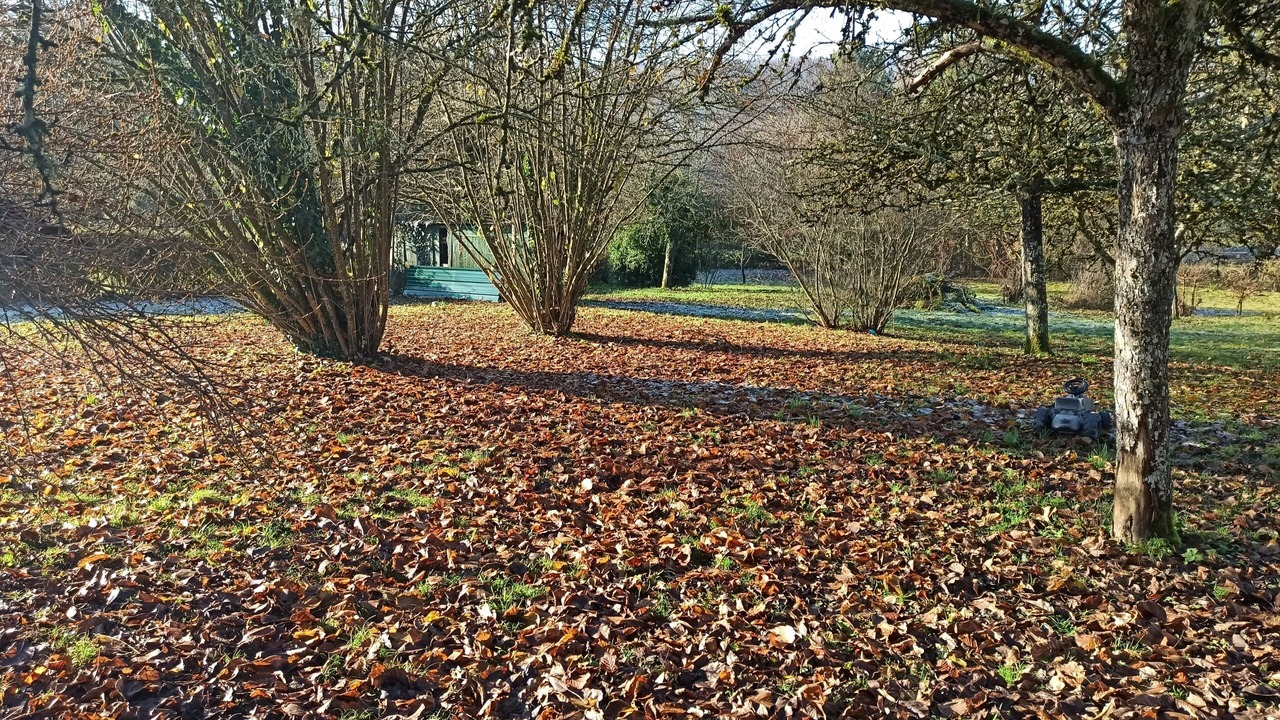 Photo of Outdoor in Nolay