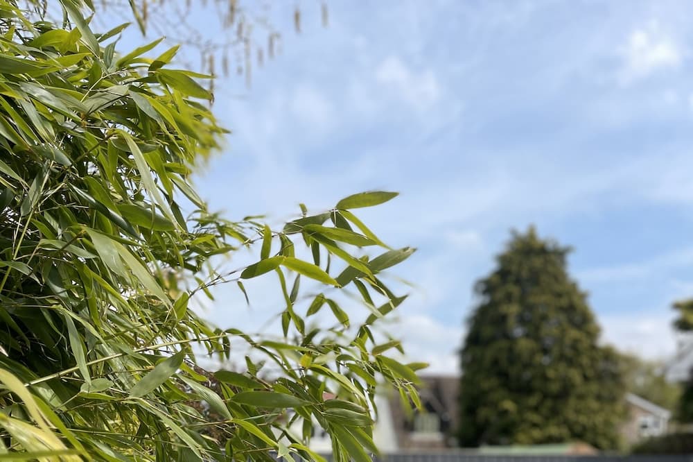 Photo of Others in Leckhampton