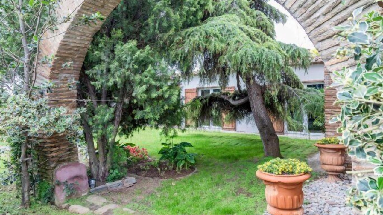 Photo of Outdoor in Burriana
