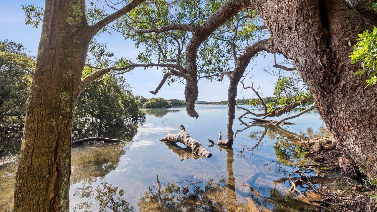 Photo of Others in Mossy Point