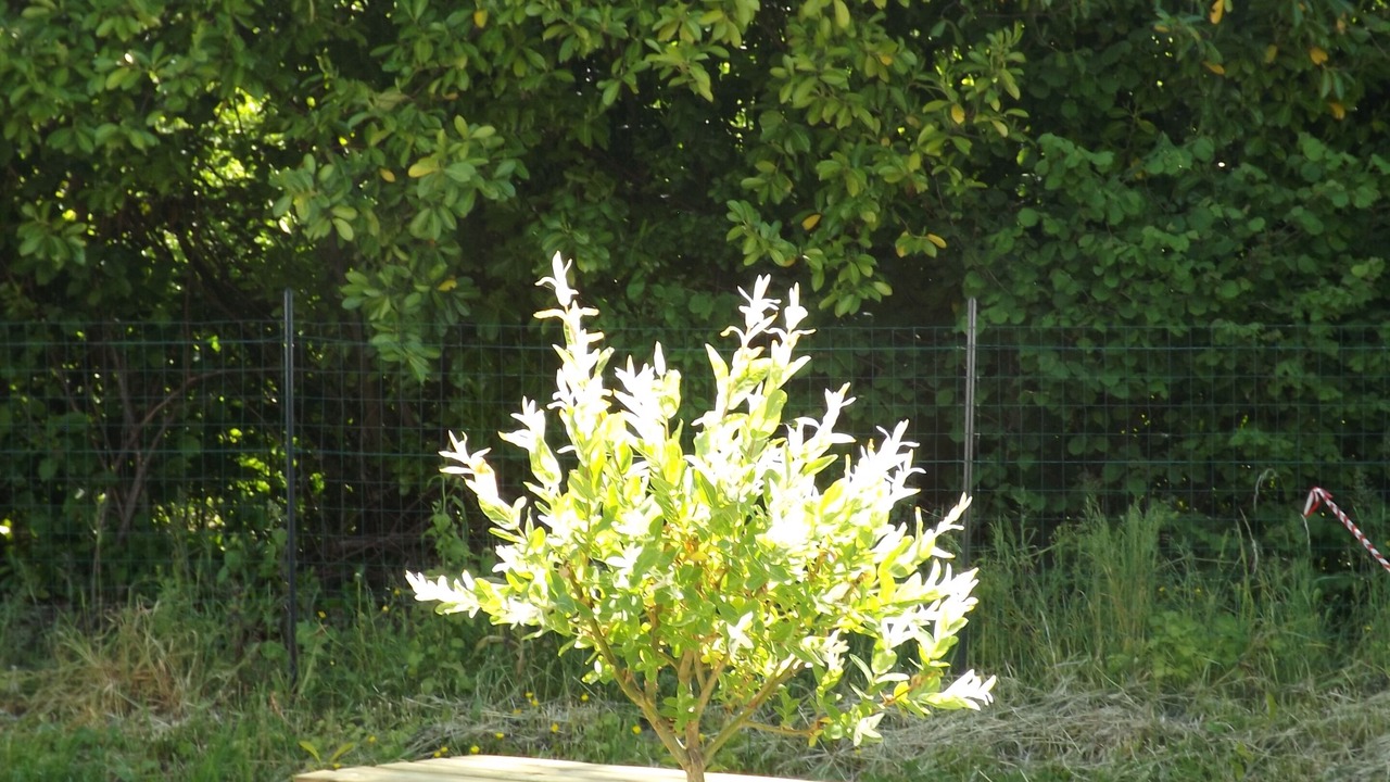 Photo of Outdoor in Longroy